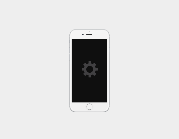 iPhone 6 & 6 Plus
